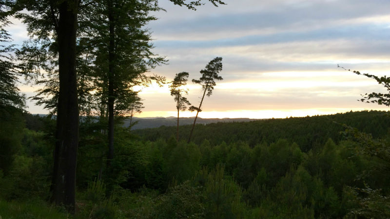 Lahnberge Marburg